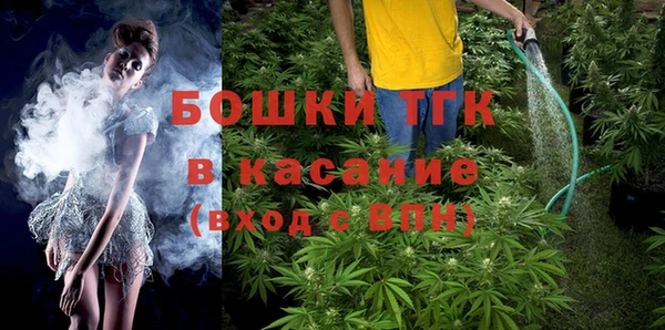 дживик Бикин