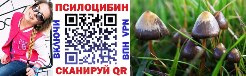 где купить наркоту  Харабали  Псилоцибиновые грибы Cubensis 